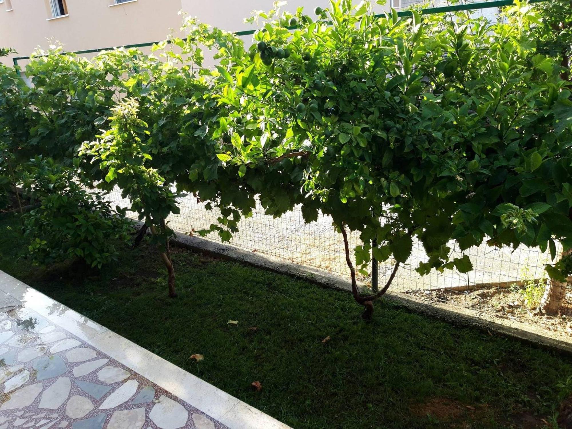 Apartments Nova Kaštela Cameră foto